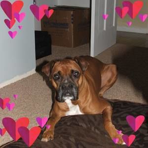 Meet your Posher, Leslee